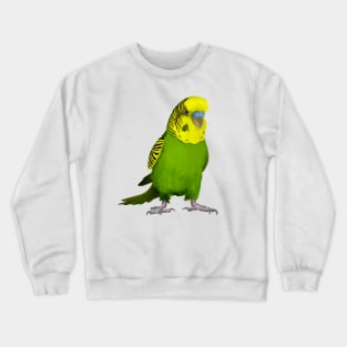 Australian Budgie/Green/Yellow/Parakeet/Budgerigar/Bird Crewneck Sweatshirt